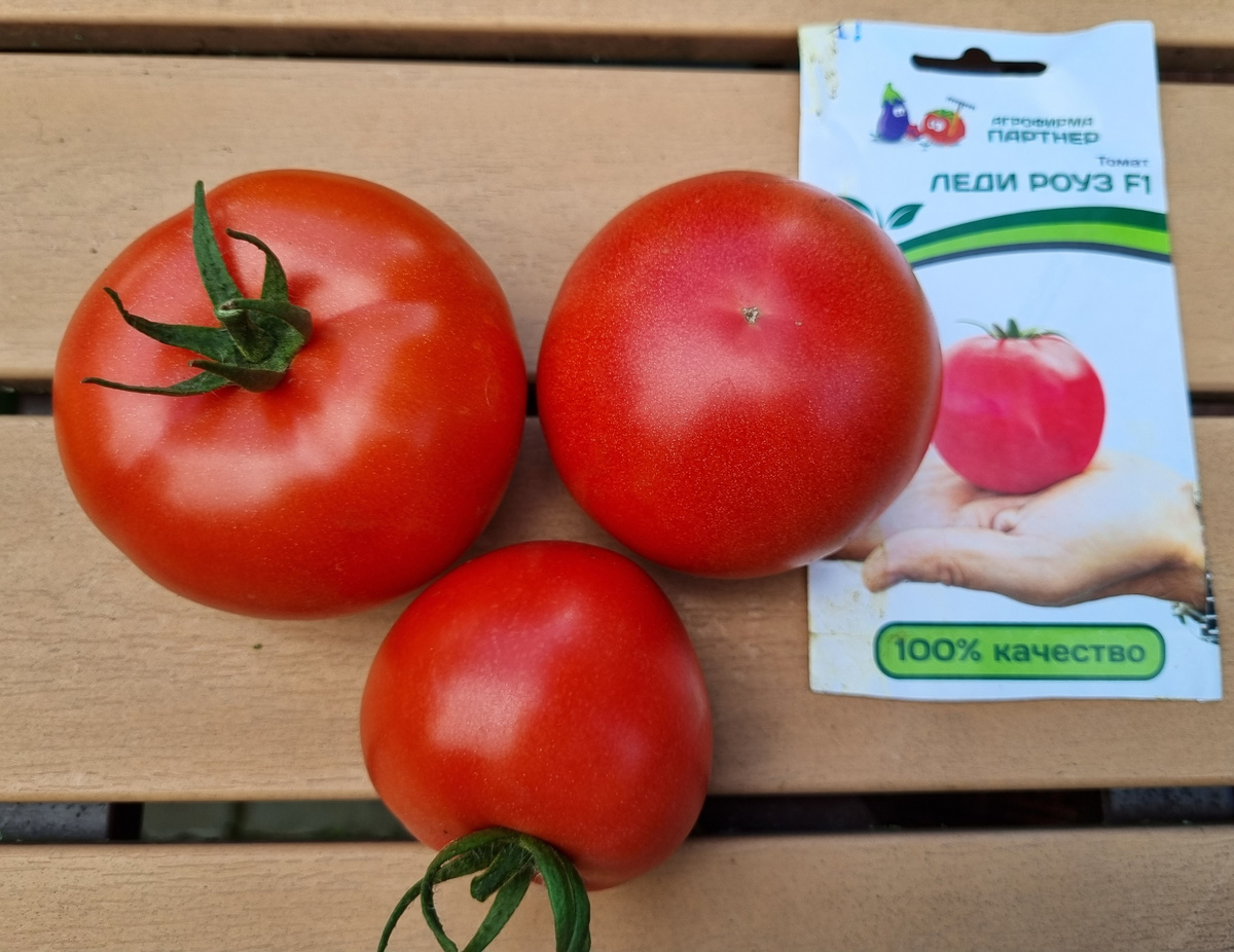 Фото автора.