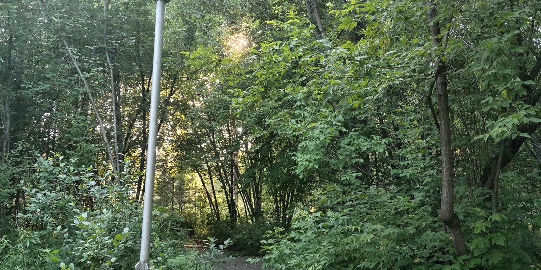 Глава 1. Первый шаг в неизвестность