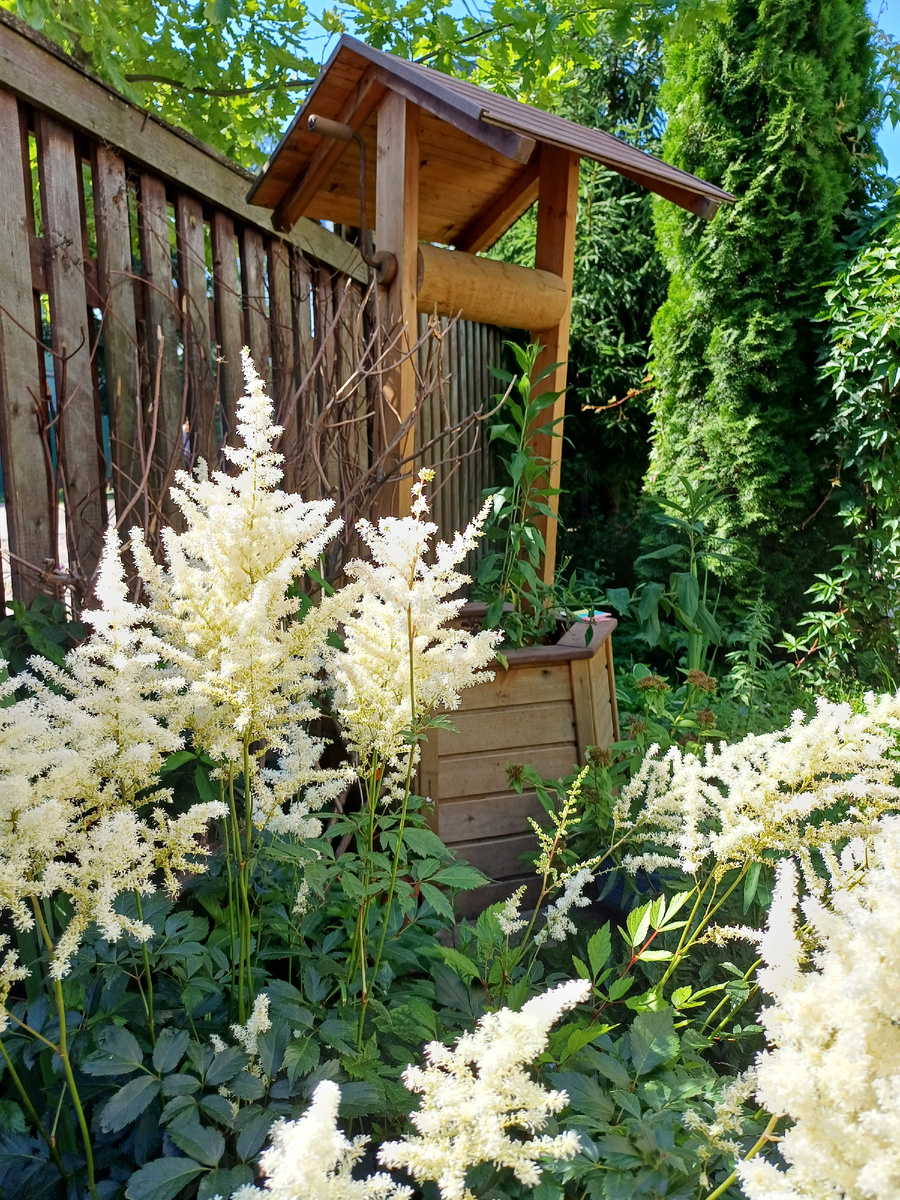 Двор гостевого дома. Фото автора 