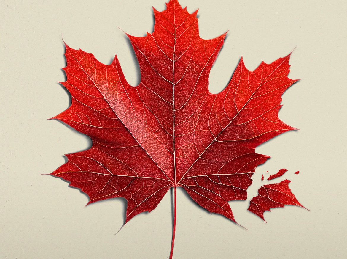 Постер: Кинопоиск 