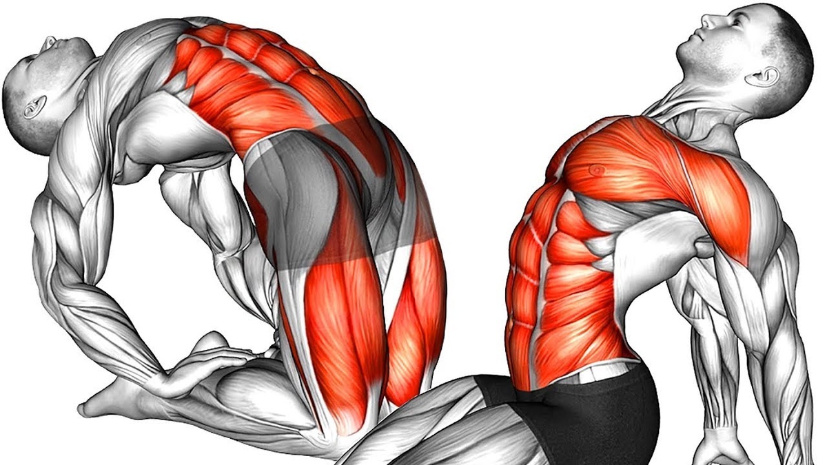 Нужно ли растягиваться? 