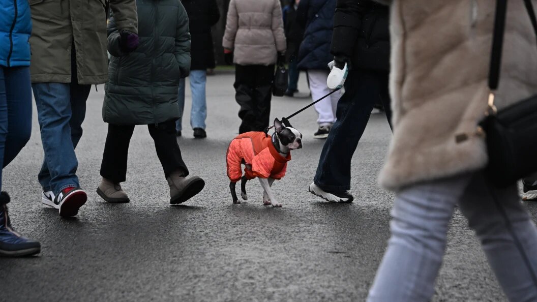    Komsomolskaya Pravda/Global Look Press