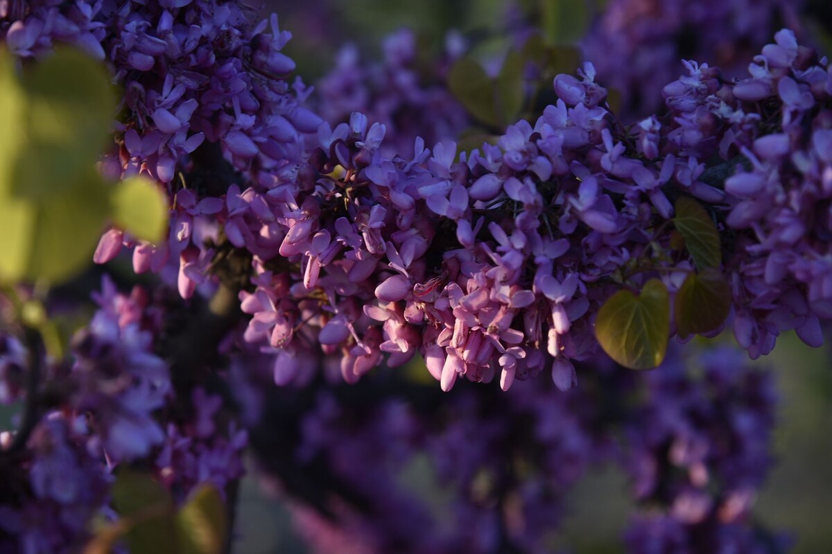     / Источник: © ИЗВЕСТИЯ