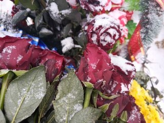    Фото: В курсе.ру Екатерина Устькачкинцева