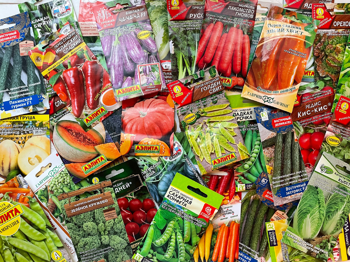 А оно всё само купилось…