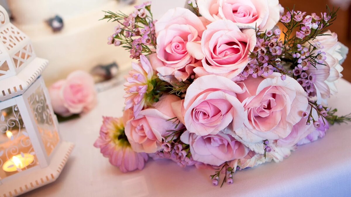 розовая розя - "нежность"