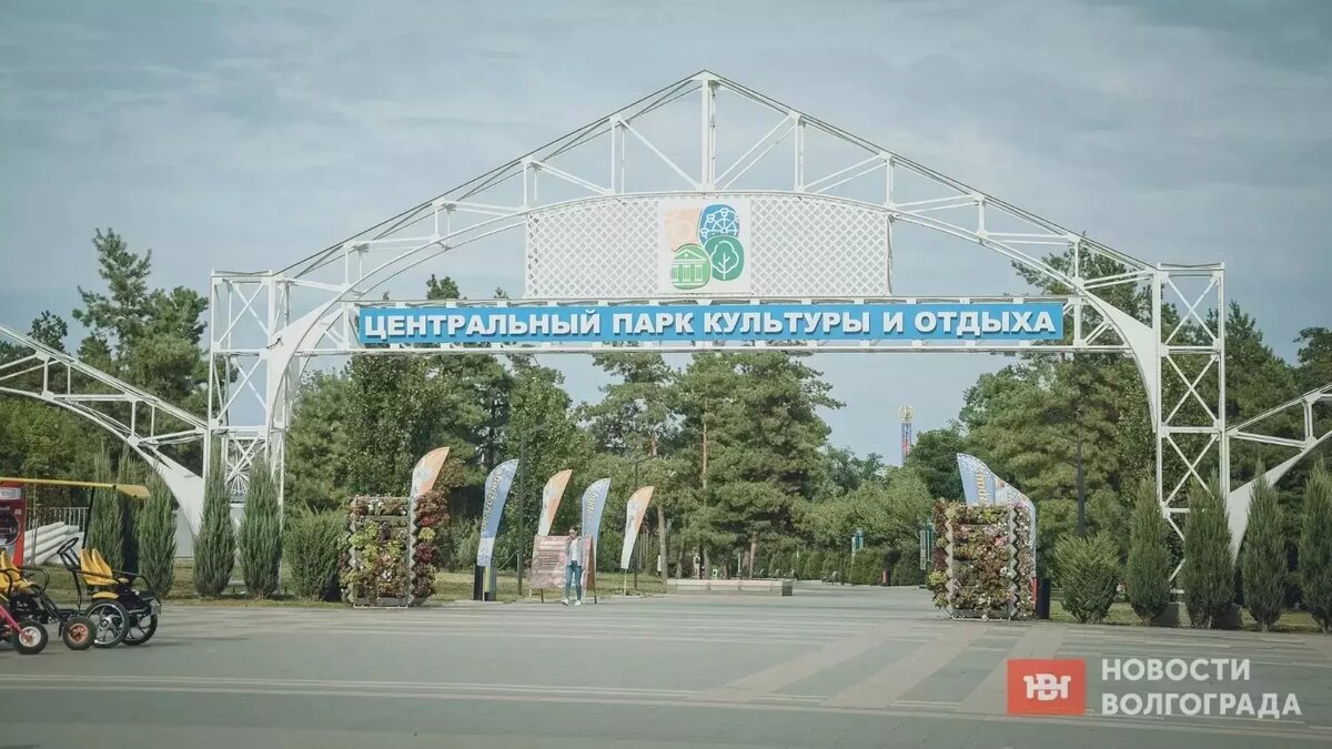     Источник: novostivolgograda.ru