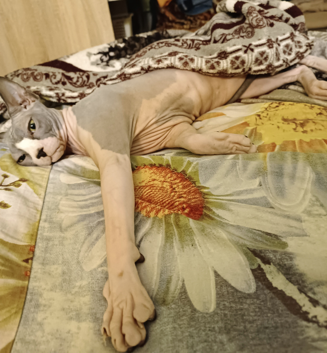 Васенька. Вот кому на Руси жить хорошо.😆