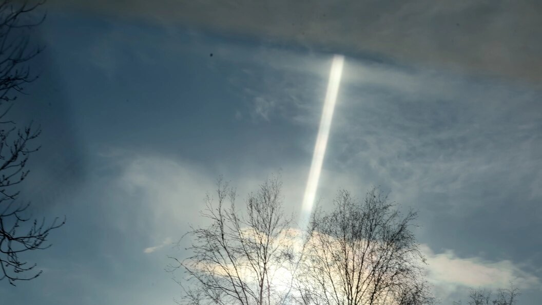    Фото: Elena Mayorova/Global Look Press