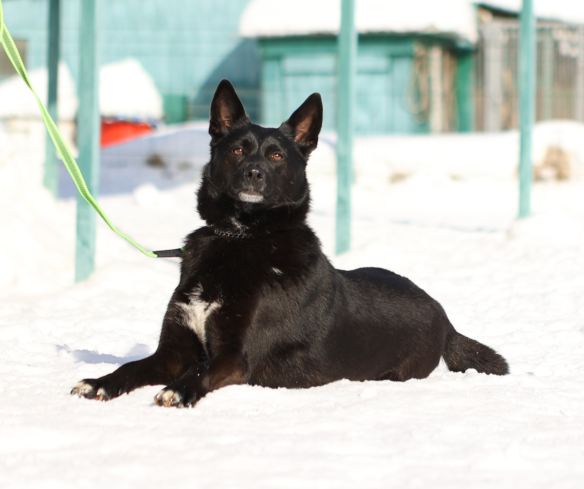 Да уж. Никак вас люди из-за этого не пойму... Вон какая я красавица