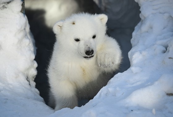    Александр Кряжев/РИА Новости