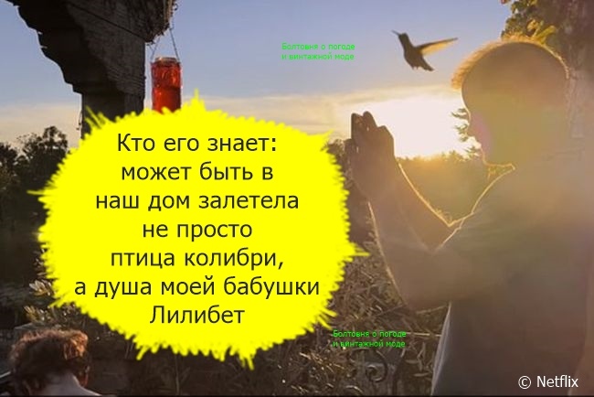 В документальном фильме "Гарри и Меган" нам показали, как британский принц с огромным интересом наблюдает за колибри