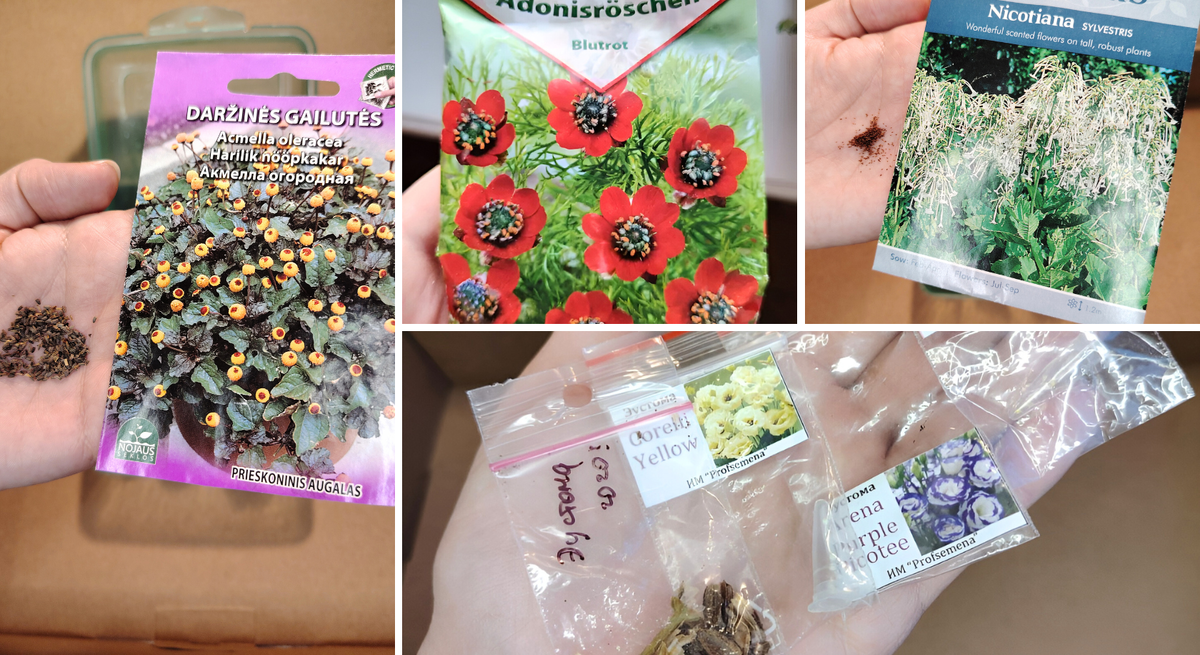 Мои эксперименты в феврале