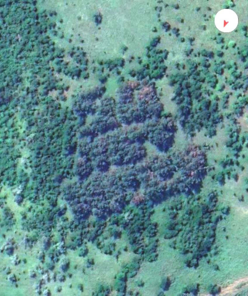 Источник: Google Maps