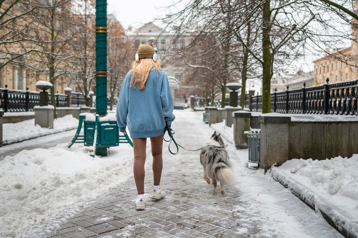 Изображение от freepik