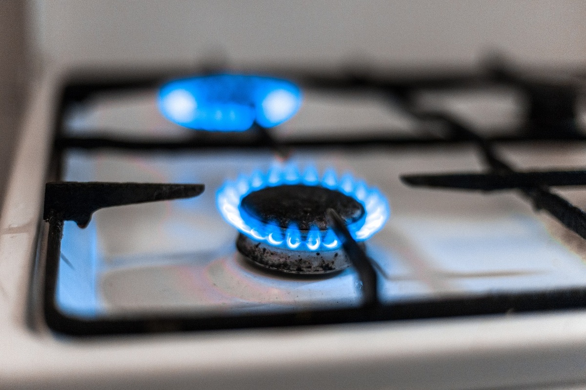    Фото: pixabay/Stroganova Софья Метелёва