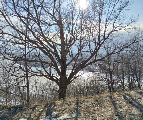 Фото из личного архива автора