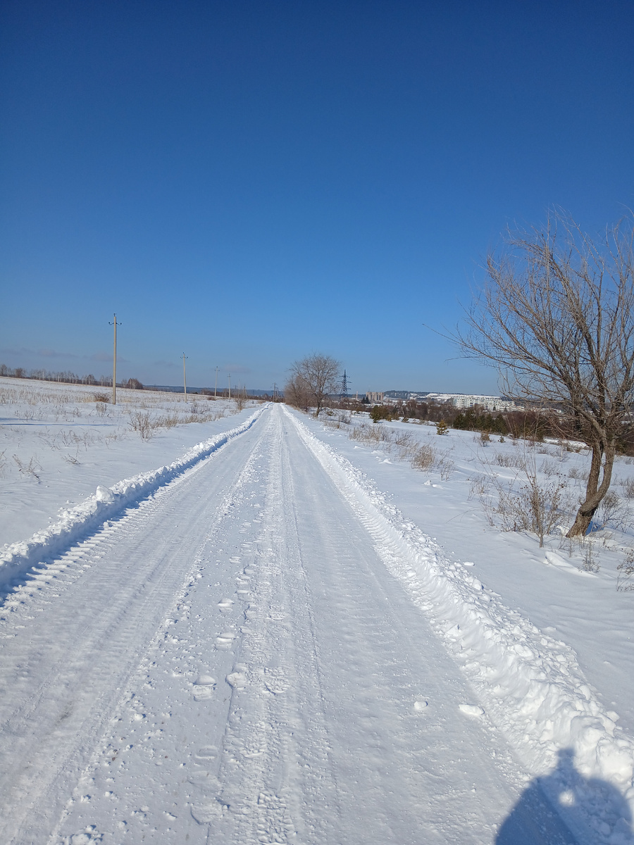 Фото автора, как и другие фото в статье. 18.02.2025г.