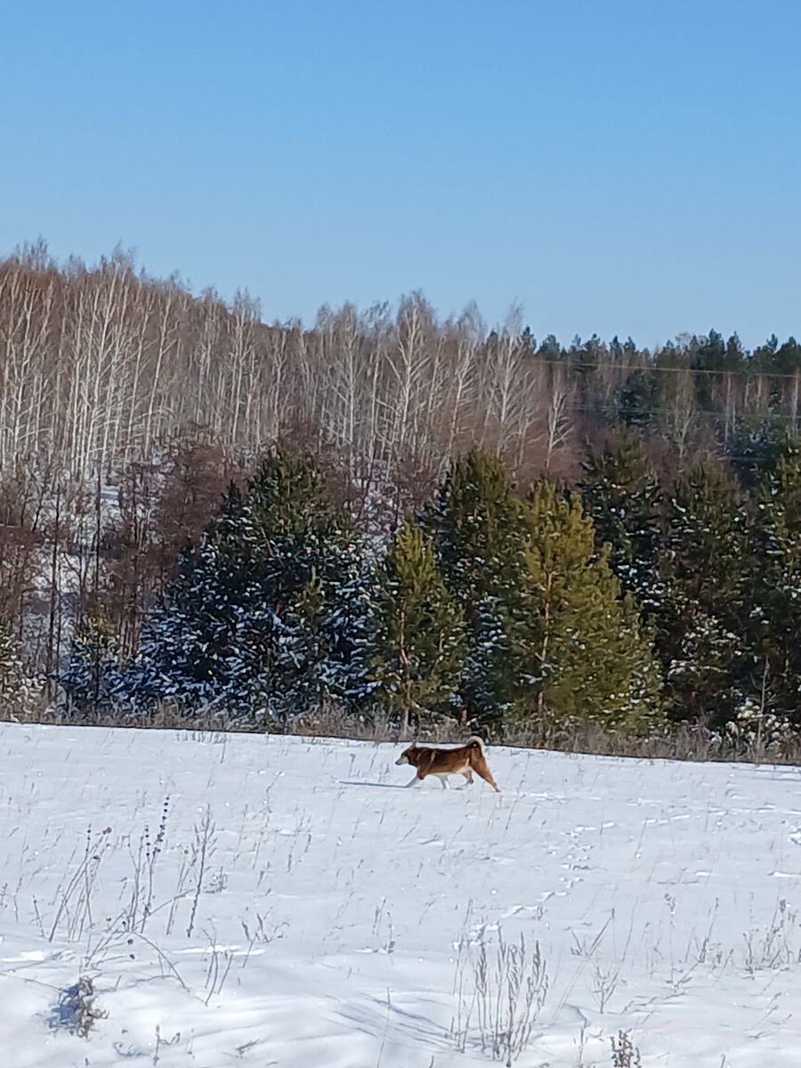 Рада. 18.02.2025г.