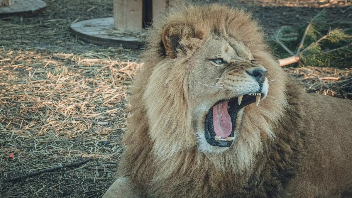     Источник: novostivolgograda.ru