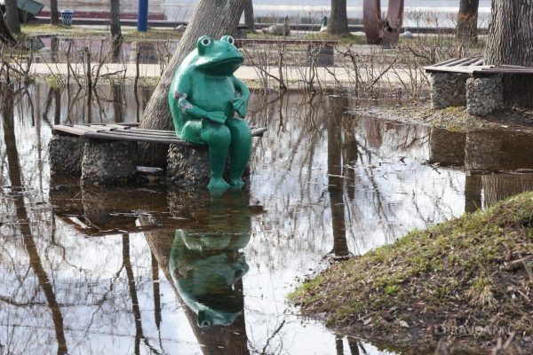 Гидрометцентр не прогнозирует сильное половодье весной в Нижегородской области  📷
