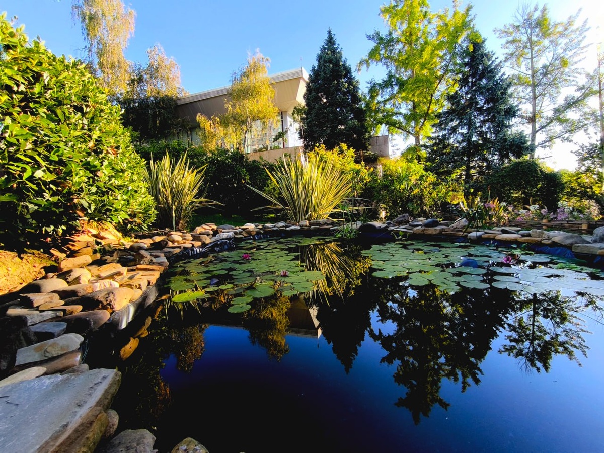 Сад-музей «Дерево дружбы»