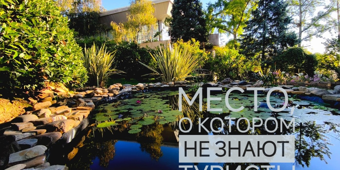 На одном дереве растут лимоны, апельсины и мандарины. Как так?