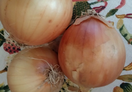 Фото из личного архива автора