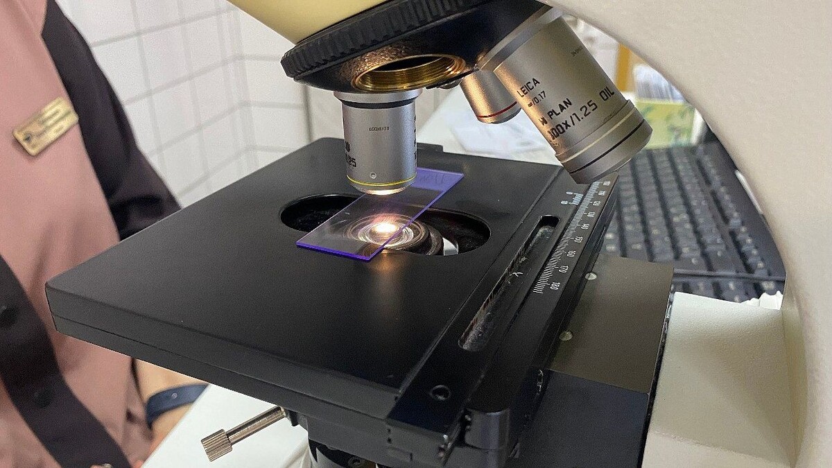    фото: телеканал «Краснодар»