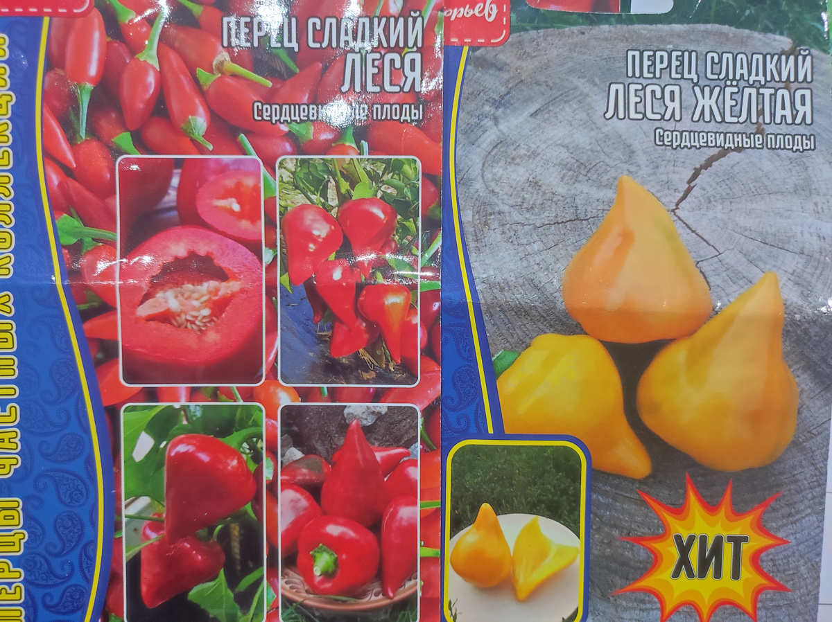 Фото автора, семена сладкого перца сорта Леся красная и Леся желтая, февраль 2025 года