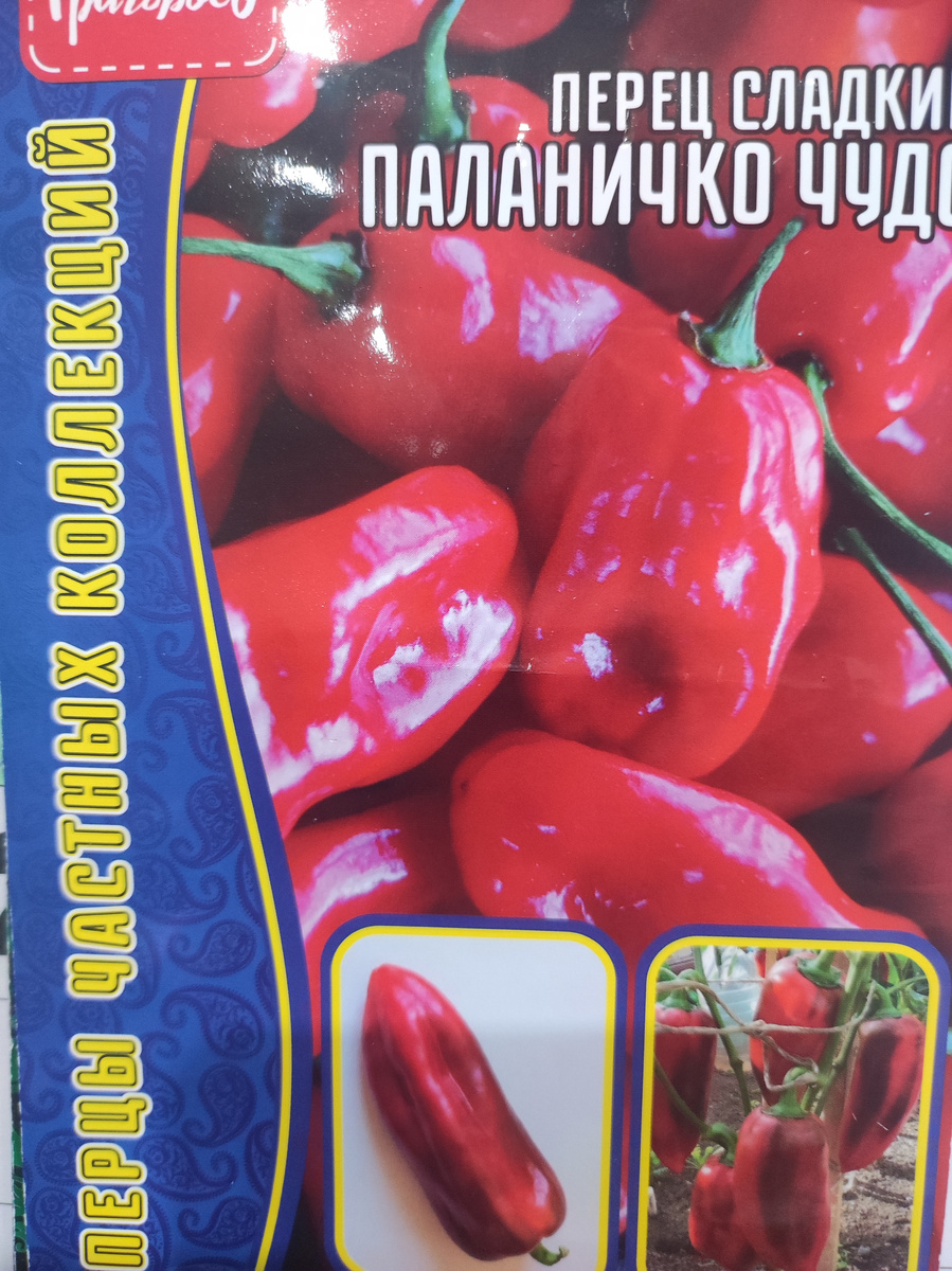 Фото автора, семена сладкого перца сорта Паланичко чудо, февраль 2025 года