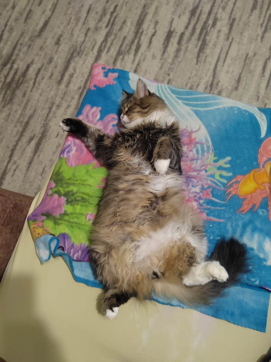 Если б я так жила, я б и не болела никогда)))))