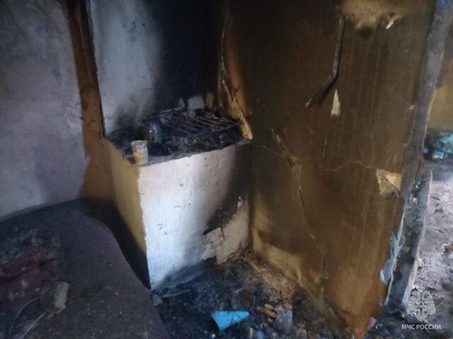     Фото предоставлено пресс-службой ГУ МЧС по Воронежской области