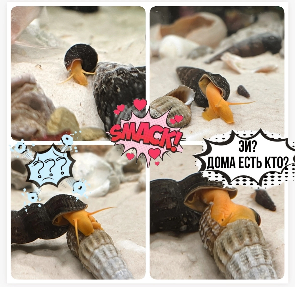 Сегодня мультики про любовь в моем  la télé💕