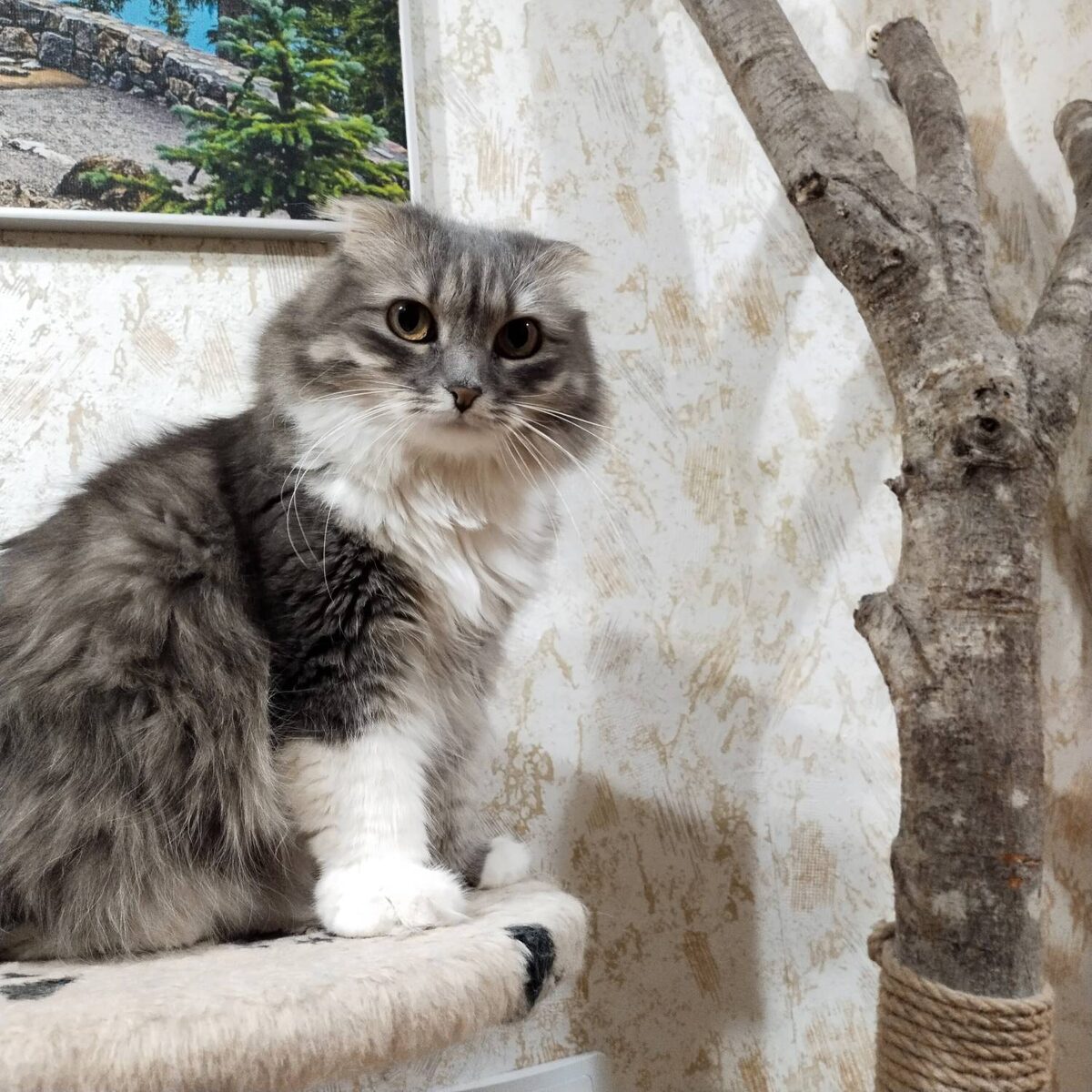 Мне кажется, эти пчёлы что-то подозревают!