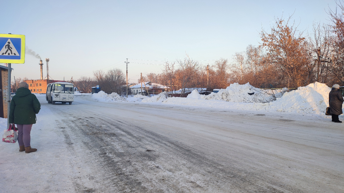 Заката не видно, но  вдали видно дом, который окрашен закатом, а так же порозовевшие голые ветки деревьев