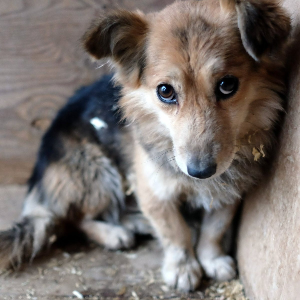 Фото: m.tabor.ru