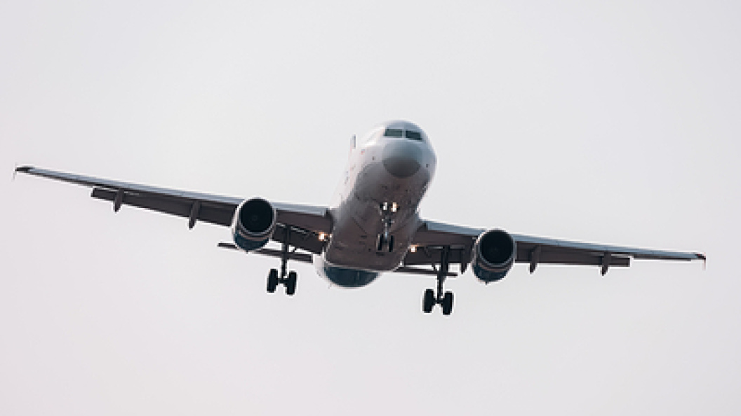    Фото: Roman Naumov/Globallookpress.