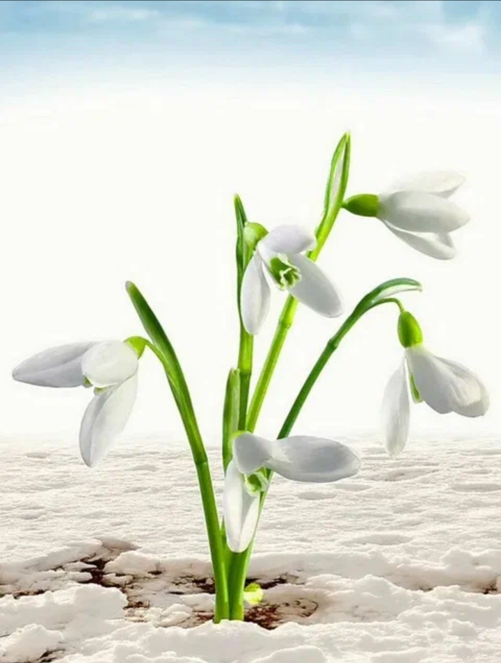 Новая жизнь... 