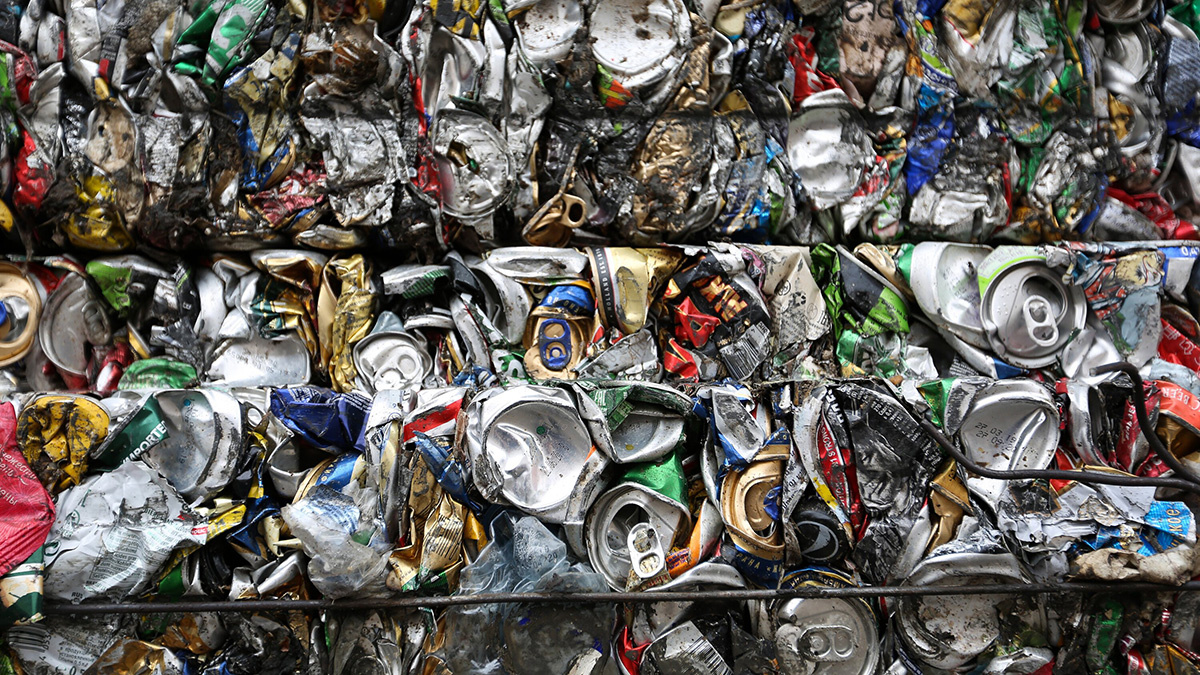    Фото: vm.ru Георгий