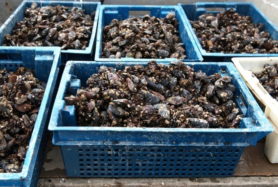    Артур Лебедев/РИА Новости