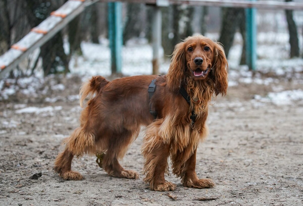     / Источник: © ИЗВЕСТИЯ/Сергей Лантюхов