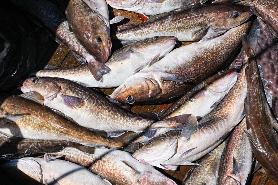     / Источник: © Юрий Смитюк/ТАСС