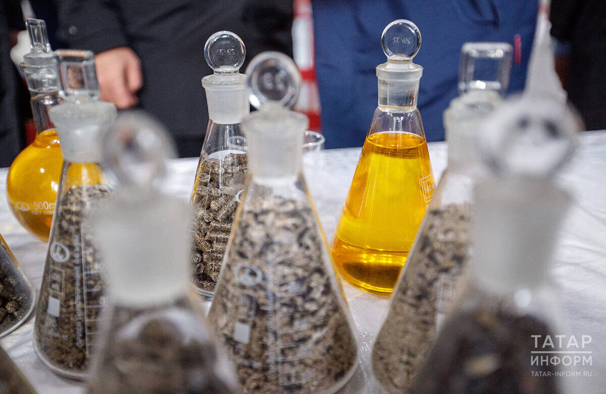 Фото: © Владимир Васильев / «Татар-информ»