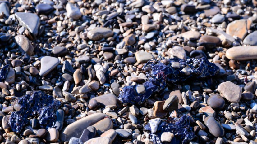   globallookpress.com Roman Naumov