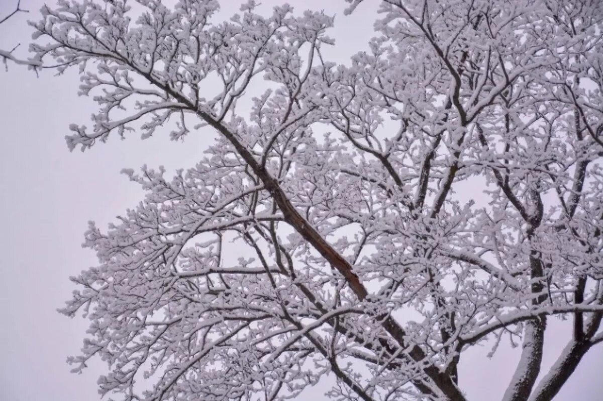    19 февраля в Туле прогнозируют облачную погоду и снег