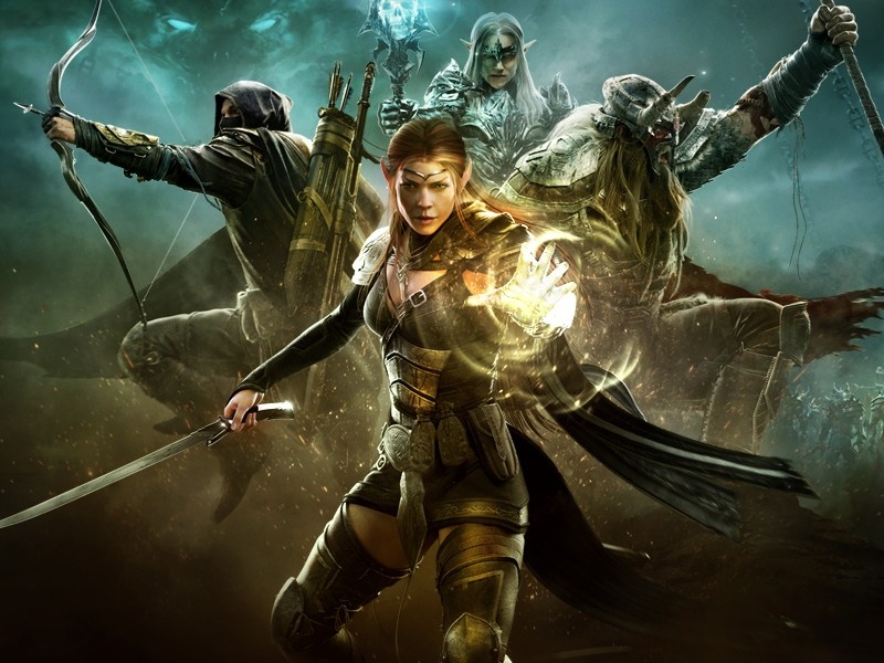    Bethesda запустила благотворительный аукцион. Победитель станет NPC в The Elder Scrolls VI