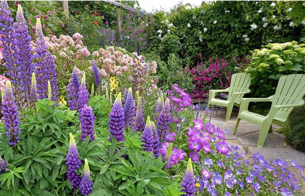 Мне понравилась клумба с разными оттенками бледно-розового, синего и фиолетового. Фото из открытых источников