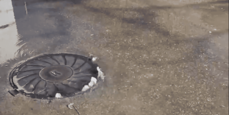    Фото: t.me/tipichkras