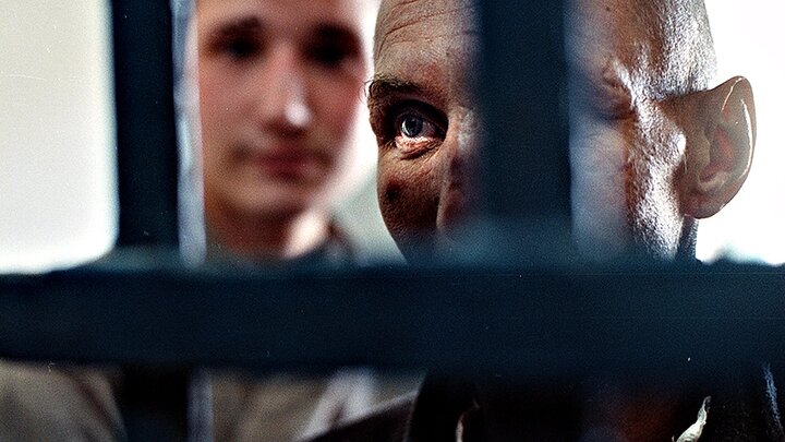 Фото: KristianTODD/Shutterstock